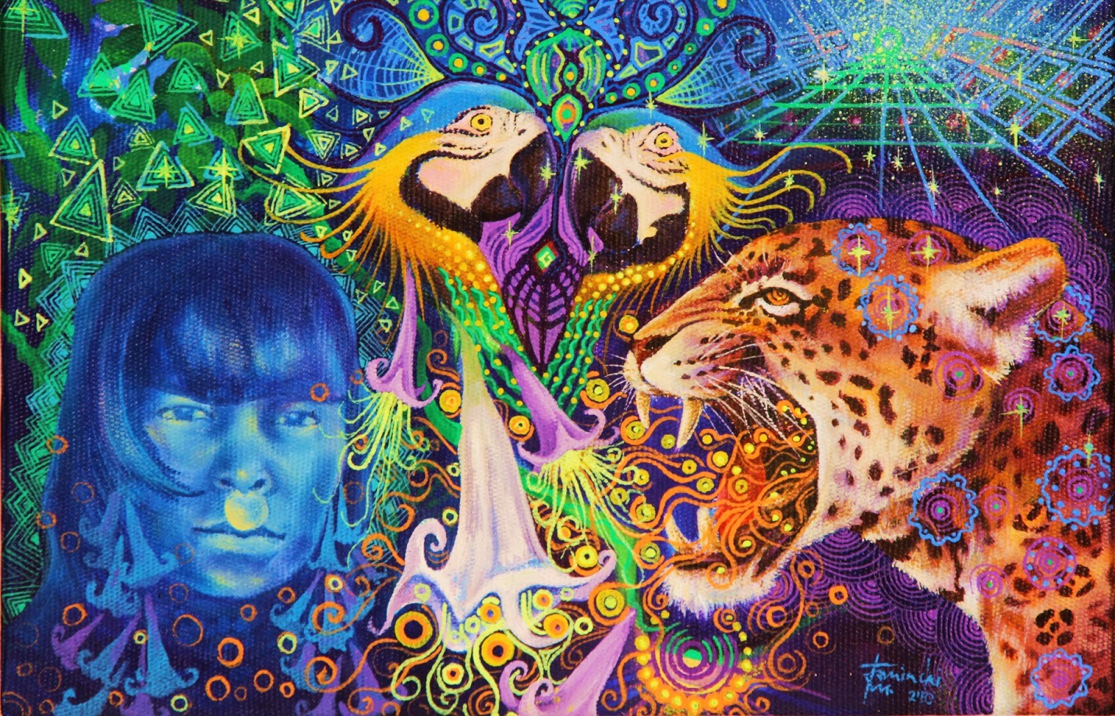 Ayahuasca para el dolor de estómago (parte II)