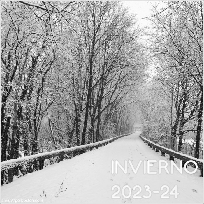 Invierno 2023-24