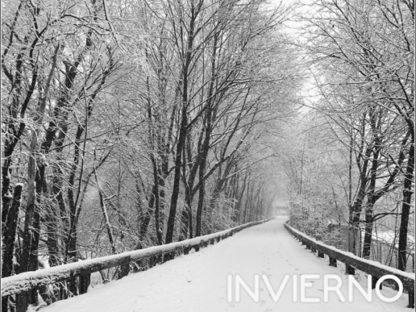 Rocola: Invierno 2023-24